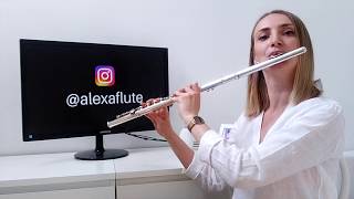 Billie Eilish - Everything I wanted | Flute cover