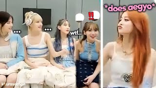 Lesserafim reaction to Yunjin suddenly doing aegyo during live (they're cringing so hard)