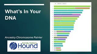 What's In Your DNA  - AncestryDNA Chromosome Painter