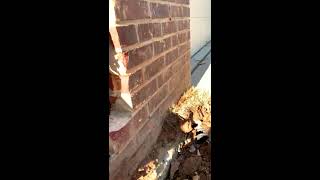 Finger Space & New Construction (Wet Seal Waterproofing)