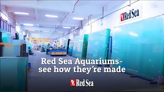 Acuarios de Red Sea - mira cómo están hechos (Spanish)