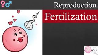 Fertilization | Reproduction | Biology | NEET | 12th NCERT Decoded in Marathi