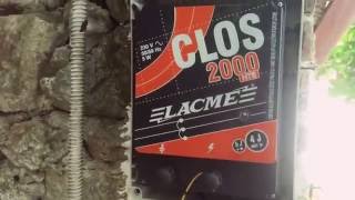 Il mio nuovo Recinto elettrico Lacme Clos 2000 per cacciare i cinghiali