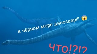 В Черном Море Динозавр!!😱Посмотрите До Конца! Место Нахождения:Анапа, Чёрное море..🌊