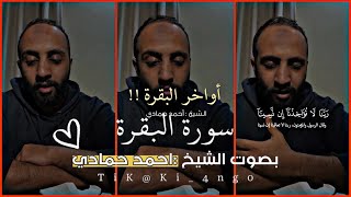 آمن الرسول بما أنزل إليه من ربه | الشيخ احمد حمادي