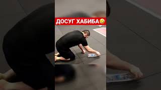 ДОСУГ ХАБИБА В АМЕРИКЕ / ХАБИБ В AKA SAN JOSE / МАХАЧЕВ ИСЛАМ #shorts #shortsvideo #shorts #shorts