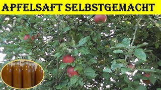 Apfelsaft selber machen 2020