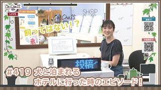 Oh！Cha 15（お茶行こう） 8月13日(火曜日)【ショップチャンネル】