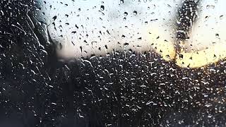 Endless Rain on your Window - ASMR Bear