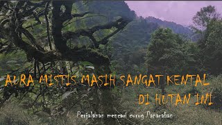 AURA MISTIS MASIH SANGAT KENTAL DI HUTAN INI [ ] CURUG PANARABAN [] THE MYSTICAL AURA