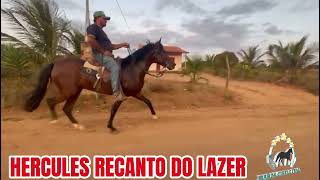 HÉRCULES RECANTO DO LAZER #mangalargamachador/#mangalargadobrasil/#mangalargadeelite/#viral_video