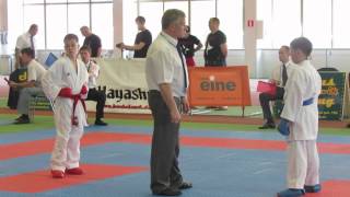 BALTIC GRAND PRIX -- BUDO CUP 2014