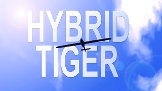 Hybrid Tiger