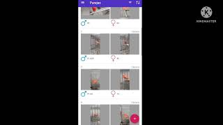 App móvil para  cria de canarios y otras especies. Aplicación Mis Pájaros de Daniel Medina.
