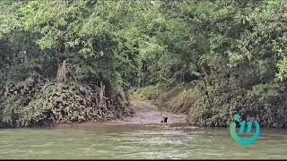 Descubra el paraíso oculto del río Puerto Viejo