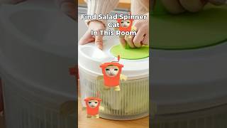 Salad Spinner Cat Finding Challenge