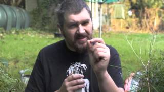 Country Garden Vaping - 3 from Decadent Vapours