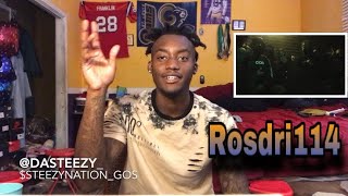 ROSDRI114 - No Snakes (Reaction)