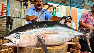 KASIMEDU TUNA FISH CUTTING VIDEO \ cutting focus