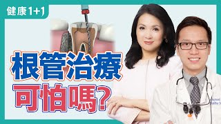 「根管治療」可怕嗎？牙痛怎麼辦，讓疼痛消失這方法最好；根管治療（抽神經）的醫治流程 | 健康1+1 · 影片