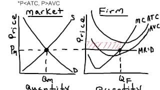 AP Micro Perfect Competition - Short Run Loss