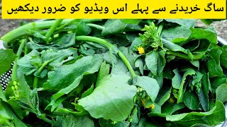 umda saag ki pehchan | gujranwala food secret