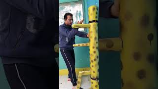 Wing Chun dummy