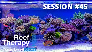 Things we're thankful for in the world of Reef Aquariums | #45