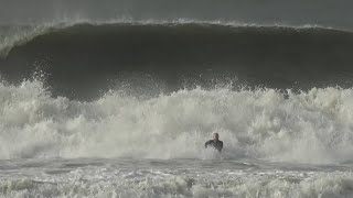 Segunda-feira animal em Tombo beach.