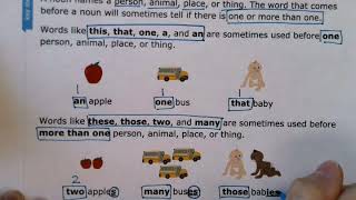 Singular and Plural Nouns