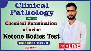 Ketone Bodies Test in Urine || Investigation of Ketone Bodies in Urine || Clinical Pathology