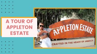 Quarantine Travel in Jamaica: A Trip to St. Elizabeth for the Appleton Estate Rum Experience