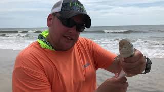 Surf Fishing In Florida