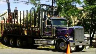 American Loggers/ Log Truck - Cat 320 with hammer -Cat backhoe