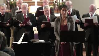 Egle Chisiu, soprano. Stille Nacht - Silent Night