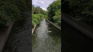 🥵 இப்படி ஆகும்னு கொஞ்சம் கூட எதிர்பார்க்கல..! 🤯 | Hosur Krishnagiri Lake condition | TN 24 #shorts