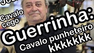 Guerrinha sobre cavalos de turfe