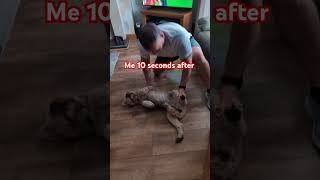 he enjoy making videos lol. #dog #shorts #animals #short ##fyp #viralshorts #fun #youtubeshort