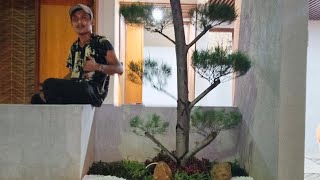 taman kering depan rumah#taman#tukangtamanjakarta#tamankeringminimalis#trending