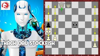 Phế Xe thí Tượng phong 2 Hậu, Stockfish xuất chiêu quyết đấu phần mềm mới nổi Berserk