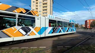 Trams in Freiburg, Germany (so many types and colors!!)