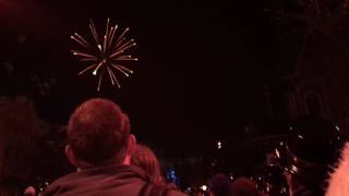 Disneyland New Years 2015