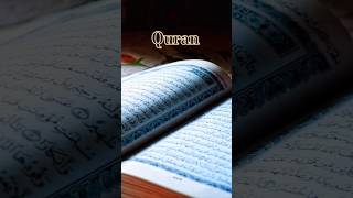 Tum apny Rab k Kon Kon c nimat ko jutlao gy #ytshorts #youtubeshorts #quran #qurantranslation #duet