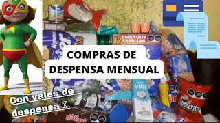 COMPRA DE DESPENSA  MENSUAL 🥑🌮🌭CON VALES 💳