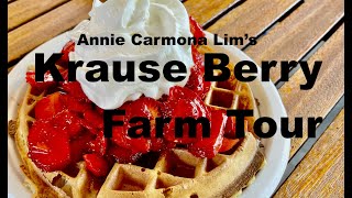 Krause Berry Farm Tour! Have a wonderful day! Visit Krause berry farm and enjoy their WAFFLE!