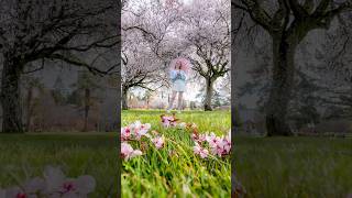 Creative Spring Photo Trick 🌸 #mobilephotography