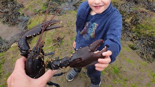 lobster 🦞  catch and cook with Charlie and my pal Craig