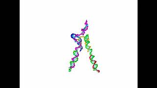 Thermal motion of a 2-footed DNA walker