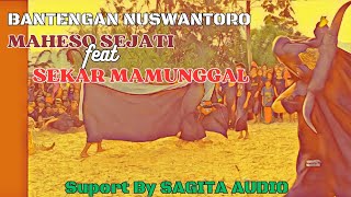 MAHESO SEJATI feat SEKAR MANUNGGAL - BANTENGAN NUSWANTORO - live GENENGAN - KARANGPLOSO