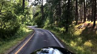 Single lane road in Custer State Park